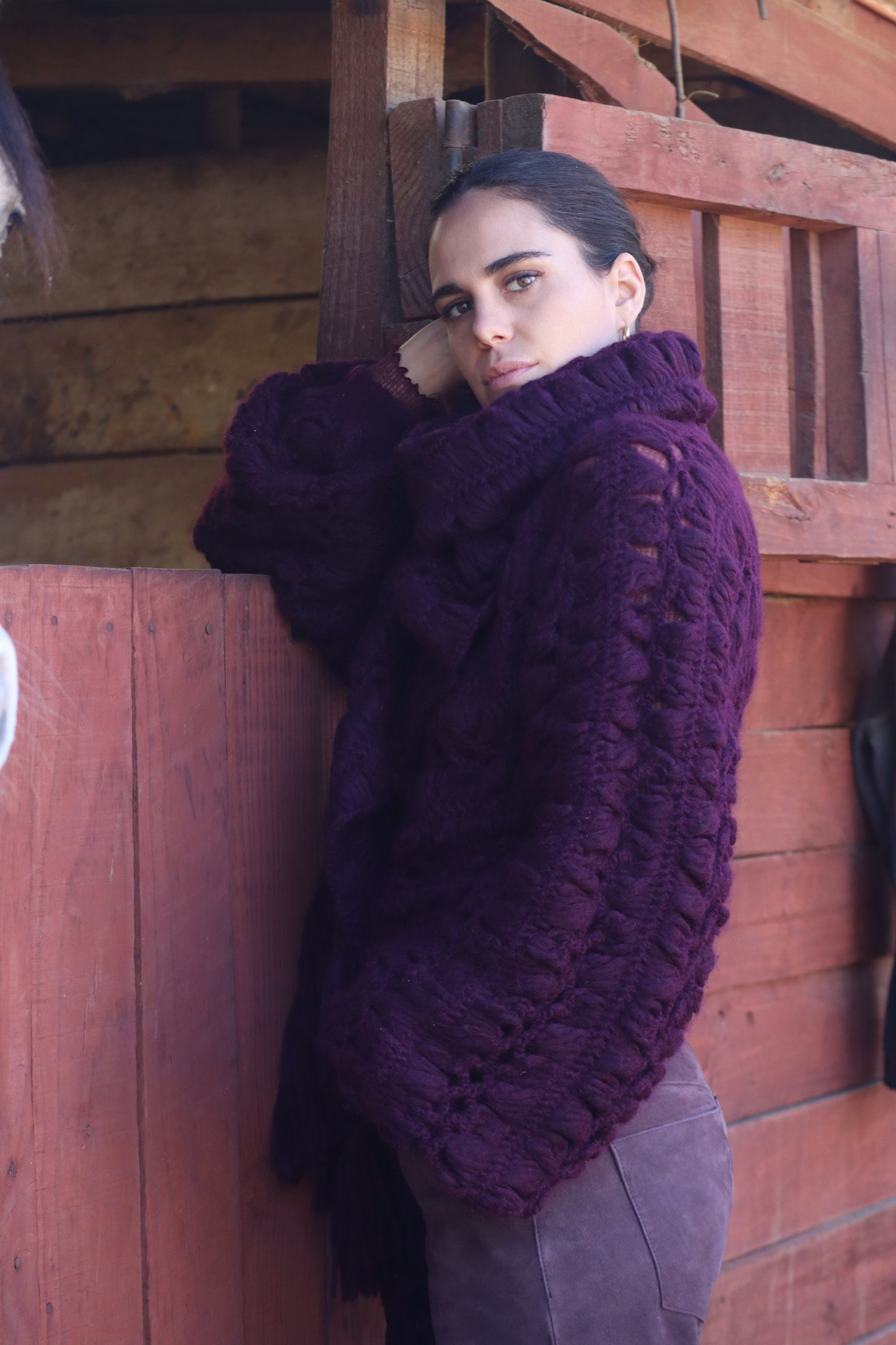 
                  
                    Sweater Burdeo
                  
                